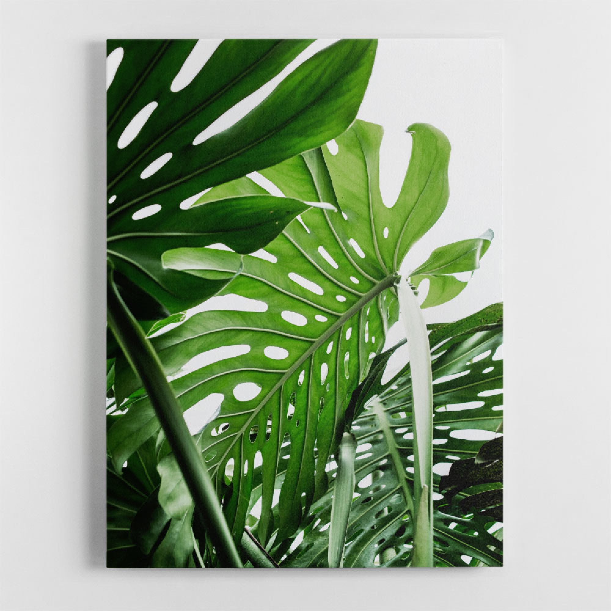 Jungle Wall Art